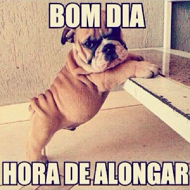 bom-dia-alongar