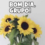 Bom dia Grupo!