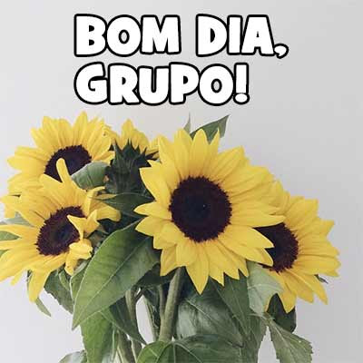 bom-dia-gru