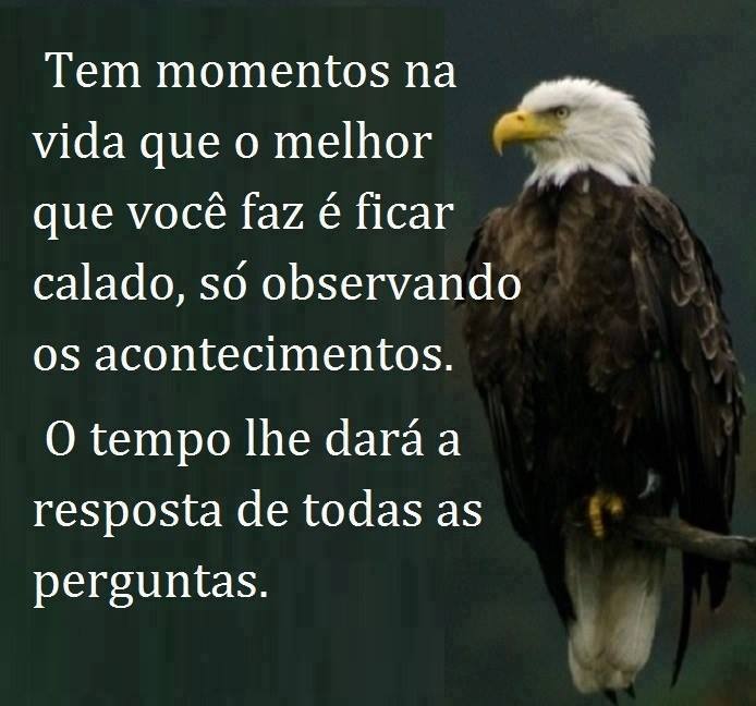 momentos-na-vida