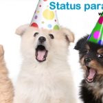 40 Status para Aniversário