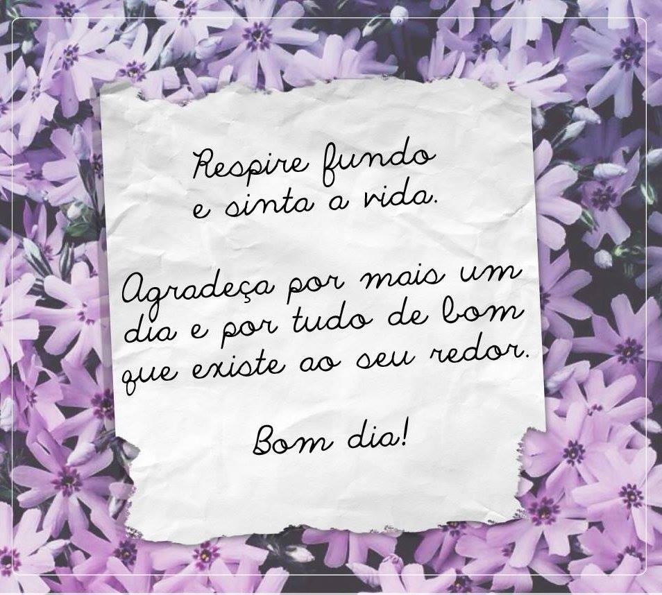 sinta-a-vida