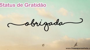 Status de Gratidão