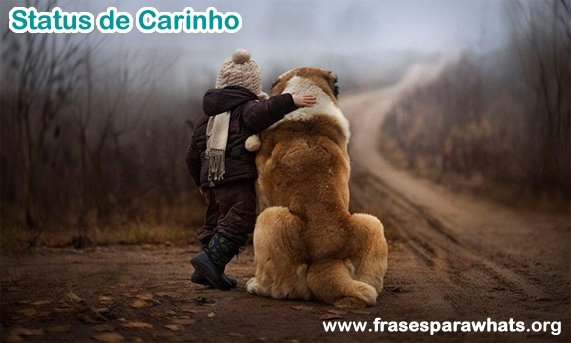 Status de Carinho para whatsapp