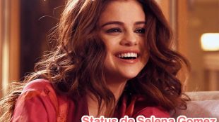 status de selena gomez